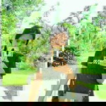 จีรนุช บุญภิรมย์ profile icon