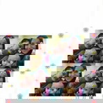 Zafran Alkhalifi profile icon