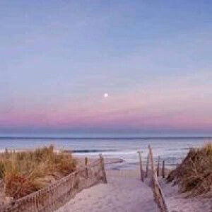 Santi Riyadi profile icon