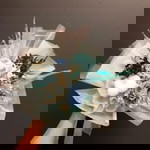 Shalomirun Abiearvianna profile icon