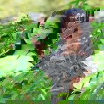 ดวงมณี ชัยฤทธิ์ profile icon