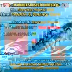 Nova Scorvio Msi profile icon