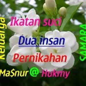 Cahaya Hukmy Ummu Qois profile icon