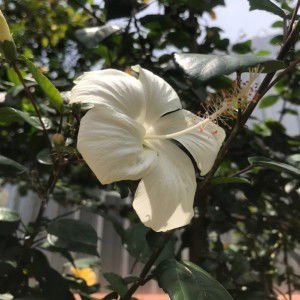 Andi Nayla Aulia profile icon