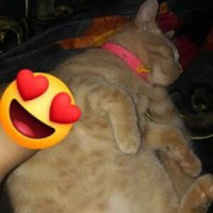 Mohd Izwan profile icon