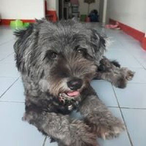 มีริน สวรรณงาม profile icon