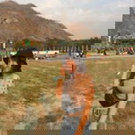 Ning Jirapad profile icon