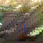 Siska Hartini profile icon