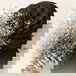 Agustina Setiawati profile icon