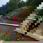 Rully Setiawati profile icon