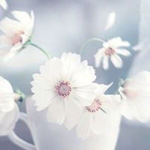 Syahnazal profile icon