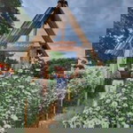 Y-ing Palida profile icon