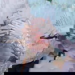 Shinta Rein profile icon