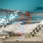 Setia Dewii profile icon