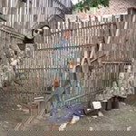 Iis Novita Desva profile icon