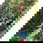 Ploy Sai profile icon