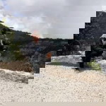 Ucho Somantri profile icon