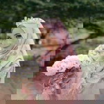 Aiman Dini profile icon