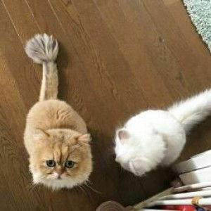 marya nuna profile icon