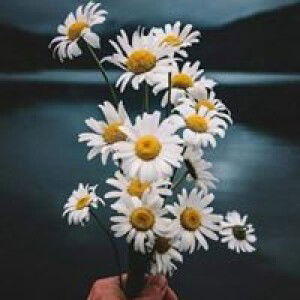 Hà Thị Cúc profile icon