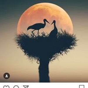 Taubatinuayiex Dzakwanizam Fithoriq profile icon