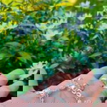 Arsene Arsana Surahman profile icon