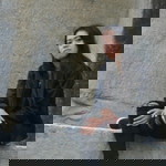 Agatha Florence Prima Diyanti profile icon