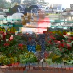 Thanh Phuong Vo Huynh profile icon