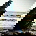 Ayank C'putri Keong profile icon