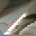 Sangkut Endra Sangkut profile icon