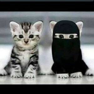 Ika Adzkya Ya'isy profile icon