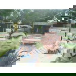 Elsa Mayora Rosiana profile icon