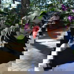 Syifa Nabila profile icon