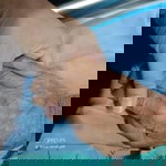 ตรีชฎา แก่นจันทร์ profile icon