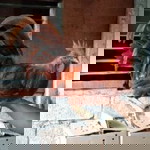 Rika Banqs profile icon