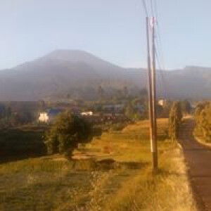 samsul iroh profile icon