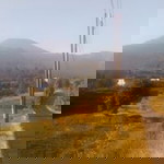 samsul iroh profile icon