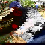 Fatimah Jain profile icon