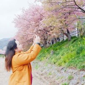 Janey Punramon profile icon