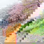 Janey Punramon profile icon