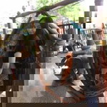 Prattana Posri profile icon