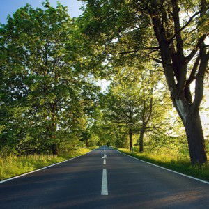 Ratna Nana profile icon