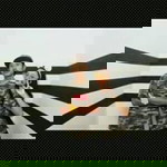 DillaPrdty profile icon