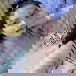 Akira Takashi profile icon