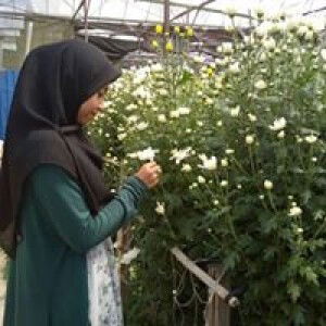 Hafizah Ismail profile icon