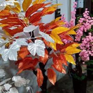 Ummu Naufal profile icon