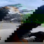 sutarat poungtong profile icon