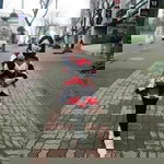 ปลายฝน ต้นหนาว profile icon