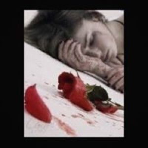 ตรงไป เดี๋ยวก็ถึง profile icon