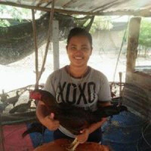 ซุ้ม เรไรชนะศึก ซุ้ม ส.ระกาทอง profile icon